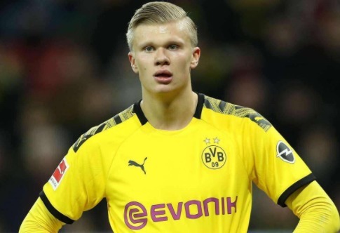 防中填坑 防中填坑